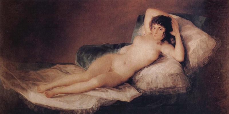Francisco Jose de Goya The Naked Maja china oil painting image